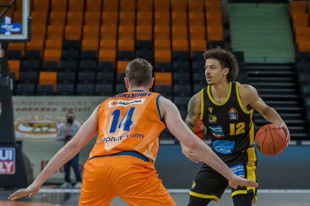 这种多样化 这种多样化